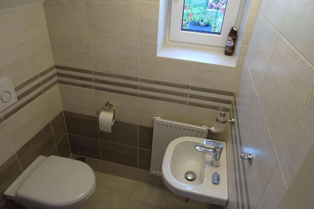 Apartman Boruvka Ceska Kamenice Ngoại thất bức ảnh